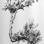 Correction - sumi-e on watercolor paper - 8"x6" correction-pen-ink-drawing-tree