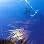 dragonfly-plant-water-pigment-print