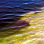 Underwater ledge